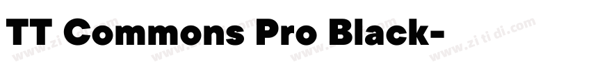 TT Commons Pro Black字体转换